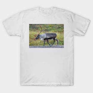 Santa Claus Reindeer T-Shirt